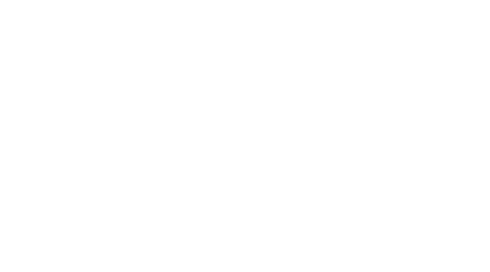 Best Value Vacs Logo